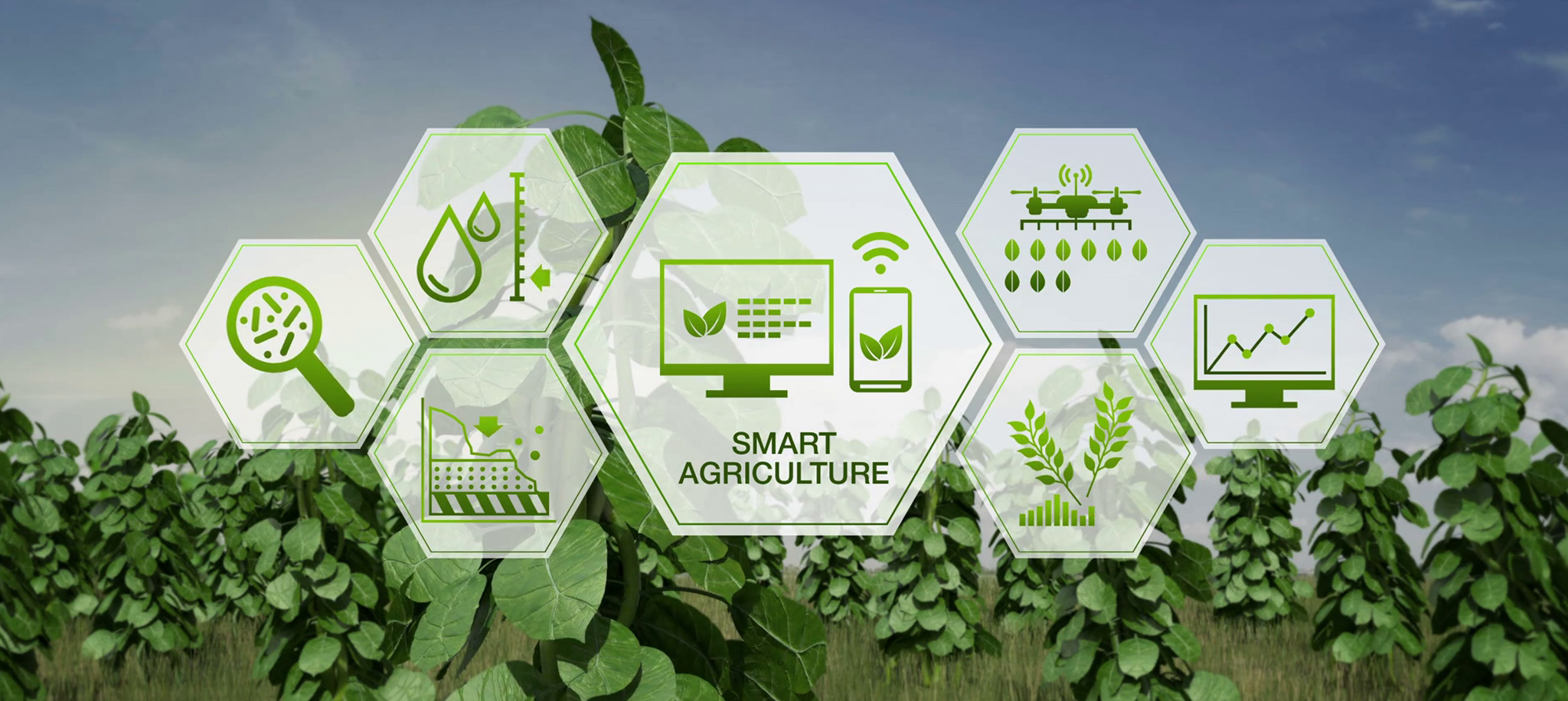 SMARTFARMING